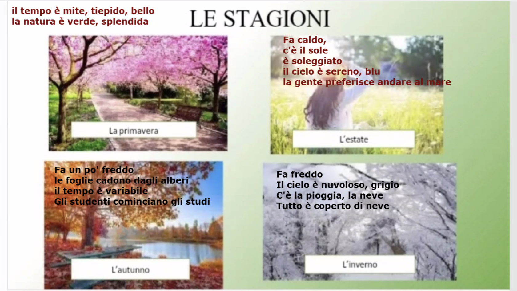 Screenshot 2026-02-16 at 20.50.49.png