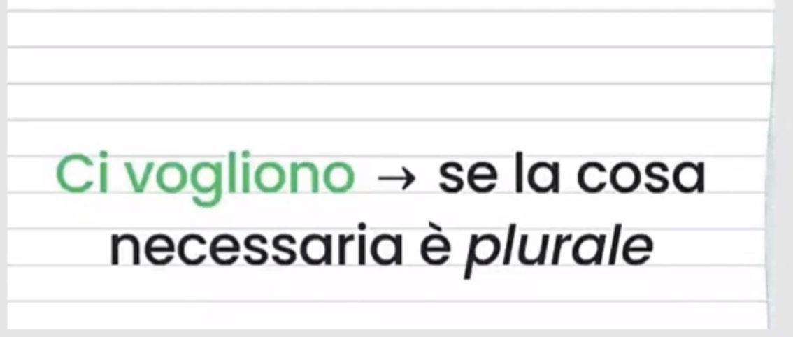 Screenshot 2026-02-24 at 16.42.29.png